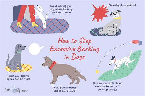 Training Techniques for Excessive Barking Training Techniques for Excessive Barking